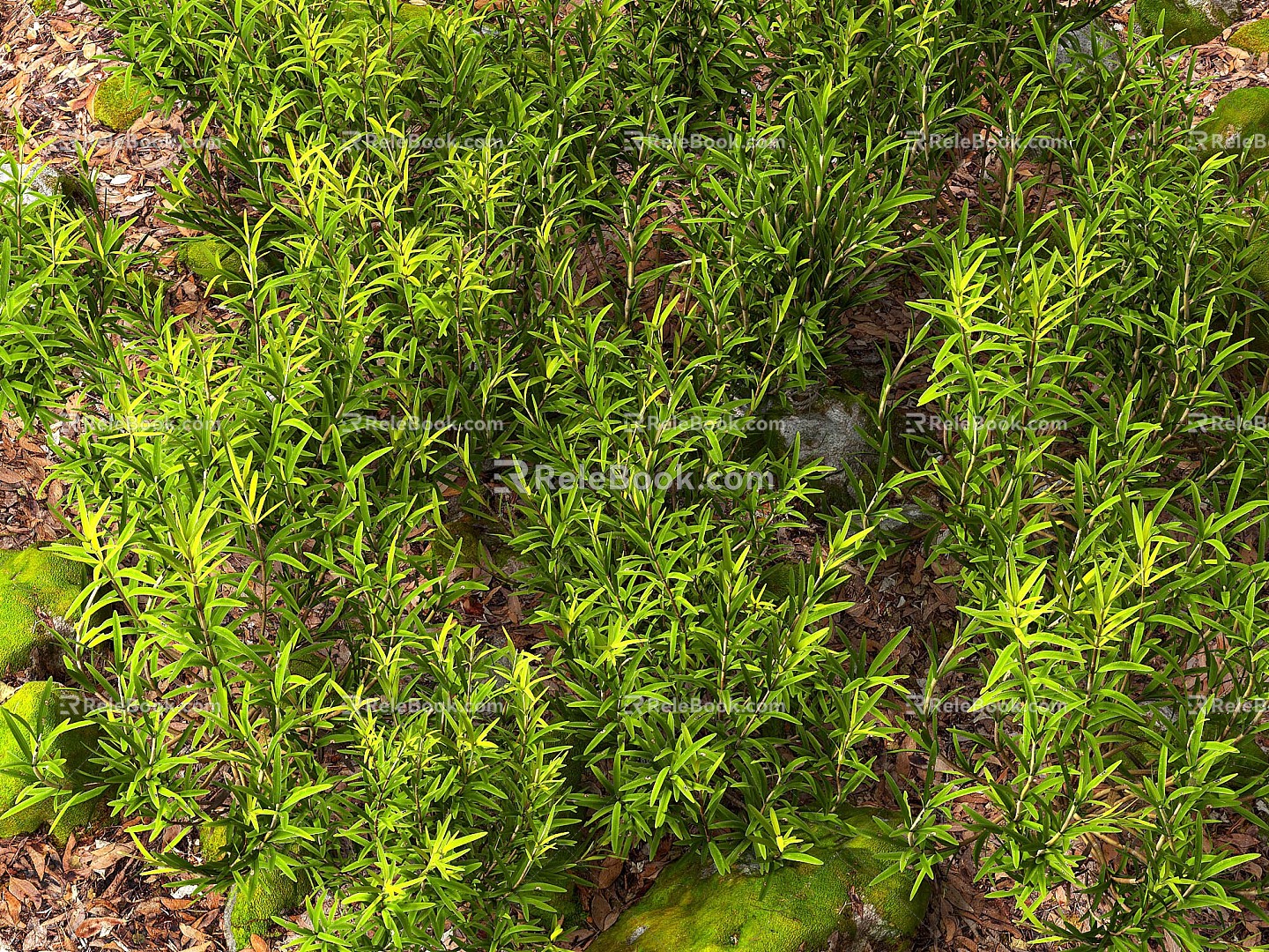 Modern rosemary spice flowers and plants green plant pile 3d model