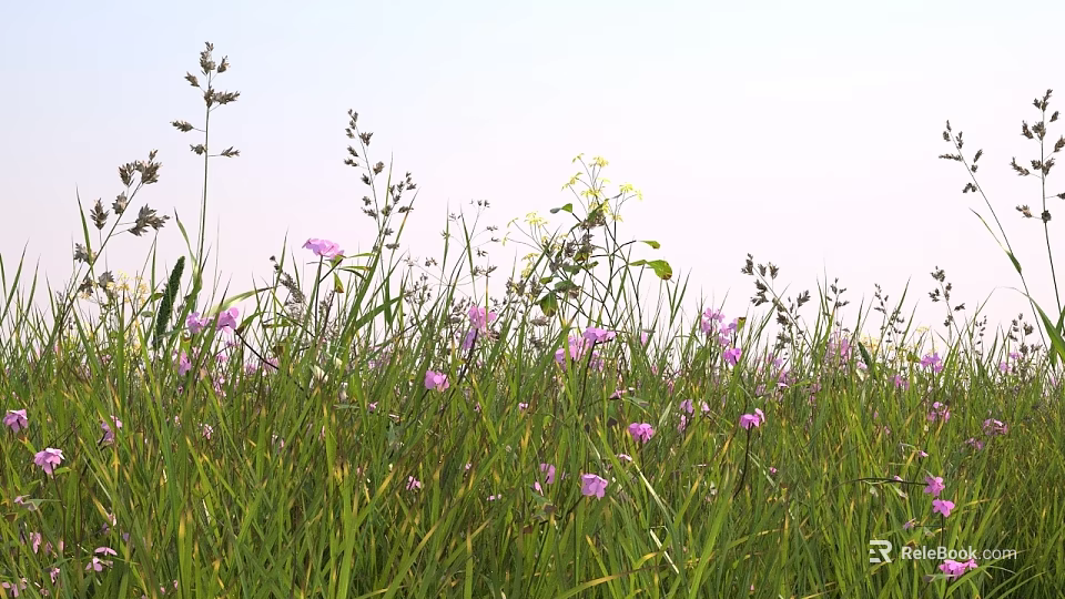 Purple Wildflowers and Green Grass with Slender Stems Under Light Blue Sky 3d model 