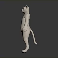 White Cat Standing Upright Full Body With Blue Eyes On Dark Background