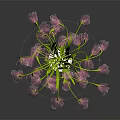 Beautiful Pink Bell Shaped Flowers Arranged In Silver Vase On Dark Background