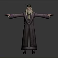 Wizard Character With Purple Robe Long White Beard Green Hat And Outstretched Arms