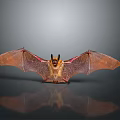 Brown Red Winged Bat With Extended Wings On Reflective Gray Surface 3d model