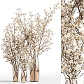 Elegant Glass Vase With Natural Branches And White Flowers For Home Decor