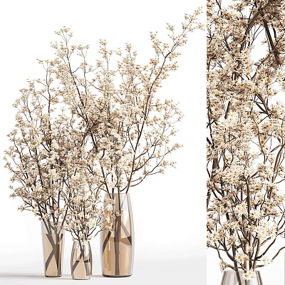 Elegant Glass Vase With Natural Branches And White Flowers For Home Decor 3d model