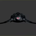 Spotted Sea Turtle With Dark Shell And Open Mouth On Reflective Surface 3d model