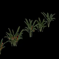 Tropical Garden Decor Arrangement With Large Green Foliage And Red Spiked Blooms