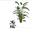 Large And Small Leafy Potted Plants Display With Green Leaves On Light Green Background