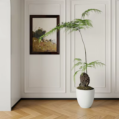 Indoor Bonsai Potted Plant In White Pot With Green Foliage For Home Decoration 3d model