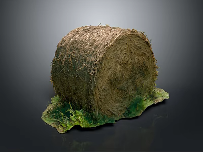 Natural Hay Bale With Green Plants Growing At Base On Dark Background 3d model