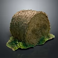 Natural Hay Bale With Green Plants Growing At Base On Dark Background