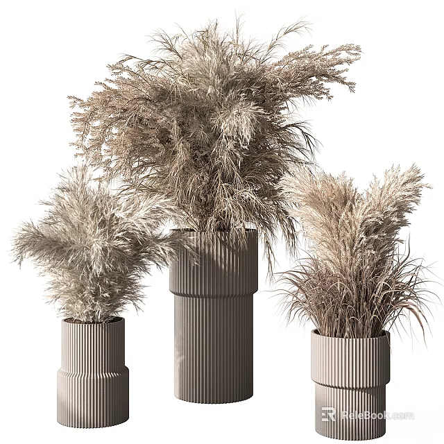Modern Garden Ornaments Featuring Dried Pampas Grass In Tall And Short Ribbed Vases 3d model 