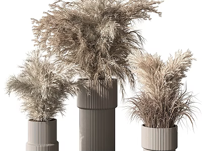 Modern Garden Ornaments Featuring Dried Pampas Grass In Tall And Short Ribbed Vases 3d model