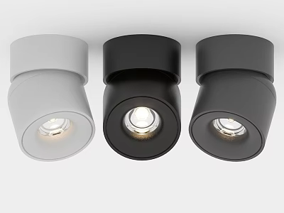 Modern Downlight Spotlights With White And Black Sleek Design For Home Lighting 3d model