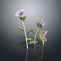 Purple Flowers With Green Leaves And White Stems On Dark Background With Reflection