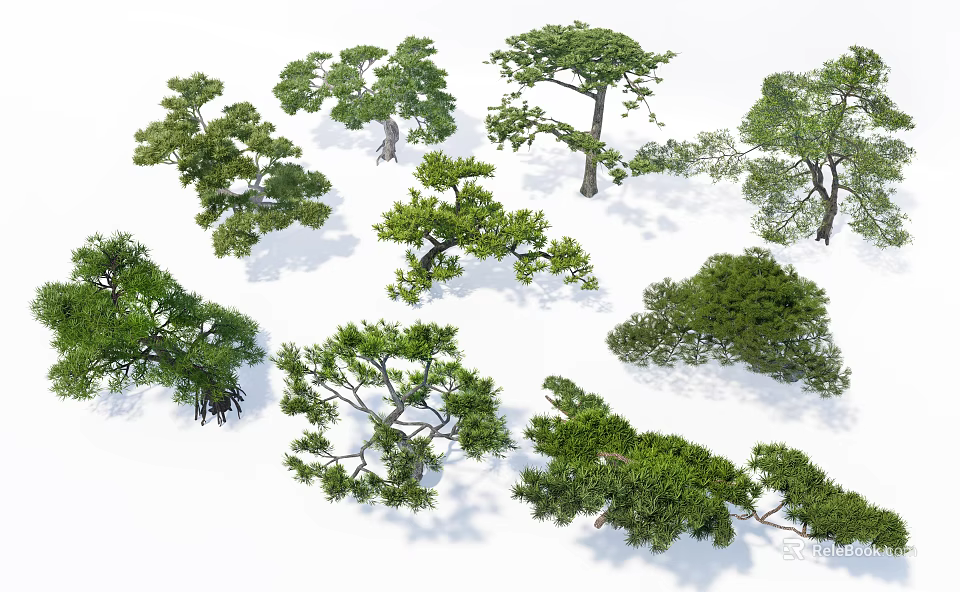 Multiple Arbor Trees with Different Forms and Green Foliage on White Background 3d model