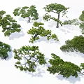 Multiple Arbor Trees with Different Forms and Green Foliage on White Background 3d model