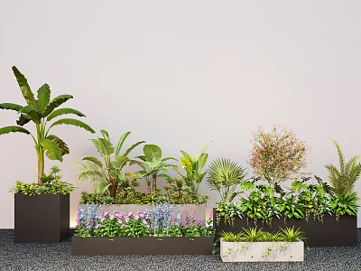 Modern Plant Combination With Various Greenery In Decorative Planters And Boxes 3d model