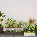 Modern Plant Combination With Various Greenery In Decorative Planters And Boxes
