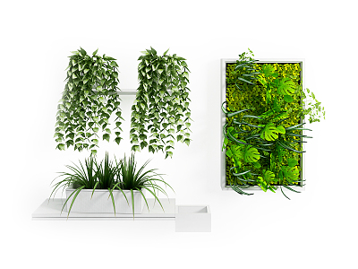 green plant wall model