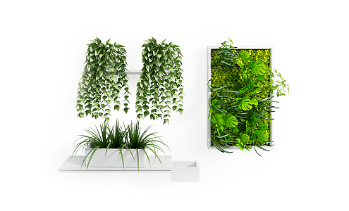 green plant wall 3d model