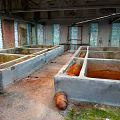 Abandoned Industrial Site With Concrete Tanks Brick Walls Windows And Rusted Floor