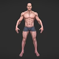 Muscular Bald Man 3D Model Standing in Blue Shorts and Bare Torso