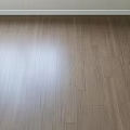 Light Colored Wooden Flooring With Natural Wood Grain For Modern Home Interior