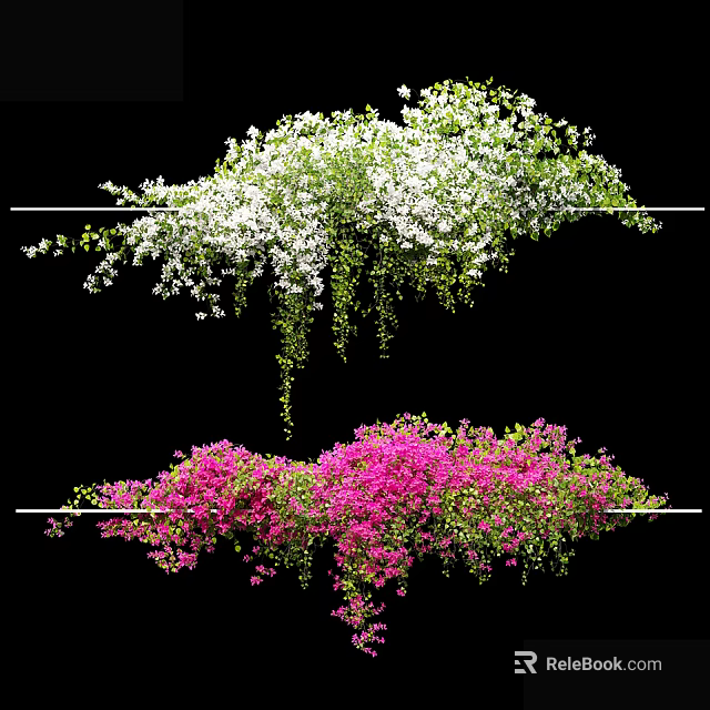 Lush Flowering Vines With White And Pink Blooms Hanging From Metal Rods Against Black Background 3d model 