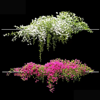 Modern Vine Climbing Vine Plant 3d model