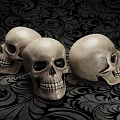 Medical Equipment Anatomical Skull Model with Detailed Structure for Medical Education Training