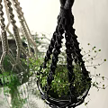 Macrame Plant Hangers With Green Ferns And Various Styles For Indoor Decor