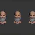 Multiple 3D Elderly Man Head Models With Bald Heads Beards And Expressions
