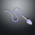 3D Rendered Anatomical Illustration of Female Reproductive Organ With Pubic Hair
