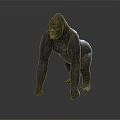 Detailed Realistic Gorilla 3D Model Crouching On Dark Reflective Surface 3d model