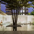 Garden Landscape With Glass Roof Outdoor Seating Water Feature And Red Maple Trees