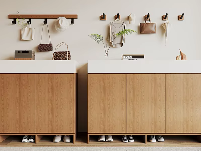 Modern Wooden Shoe Cabinets With White Countertop Wall Mounted Rack Hats Bags Plant And Shoes 3d model
