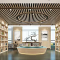 Modern Book Art Space With Wooden Shelves And Reception Desk