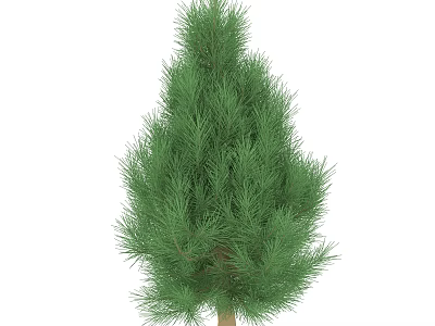 Evergreen Arbor With Dense Green Foliage And Tall Natural Trunk 3d model