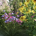 Colorful Garden Flowers With Yellow Purple Pink Blooms And Lush Green Leaves