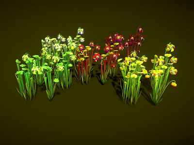 Colorful Venus Flytrap Plants With Green Yellow Red Leaves And Various Shapes On Dark Background 3d model