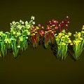 Colorful Venus Flytrap Plants With Green Yellow Red Leaves And Various Shapes On Dark Background