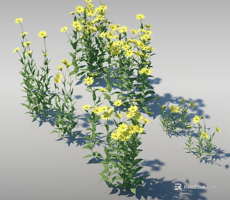 Multiple Green Plants With Yellow Flowers And Leaves On Gray Background 3d model 