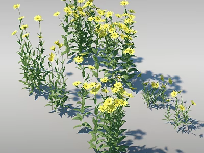 Multiple Green Plants With Yellow Flowers And Leaves On Gray Background 3d model