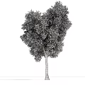 The Modern Tree 3d model