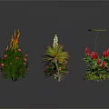 Diverse Potted Plants with Sunflower Roses Succulents and Colorful Flowering Greenery