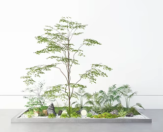 Plant potted tree shrub plant green plant combination small landscape bonsai 3d model