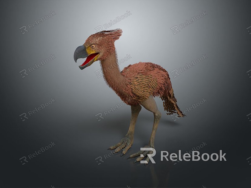 Ostrich bird bird bird bird game animal cartoon animal animal model