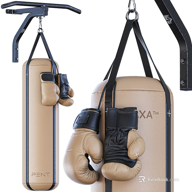 Premium Sports Equipment Featuring Hanging Punching Bag and Boxing Gloves for Training 3d model 