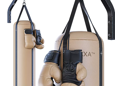 Premium Sports Equipment Featuring Hanging Punching Bag and Boxing Gloves for Training 3d model