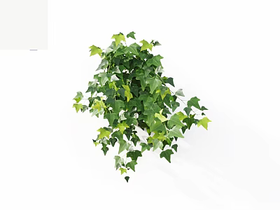 Lush Green Vines With Vibrant Leaves For Indoor Decorative Plant Display Ornament 3d model